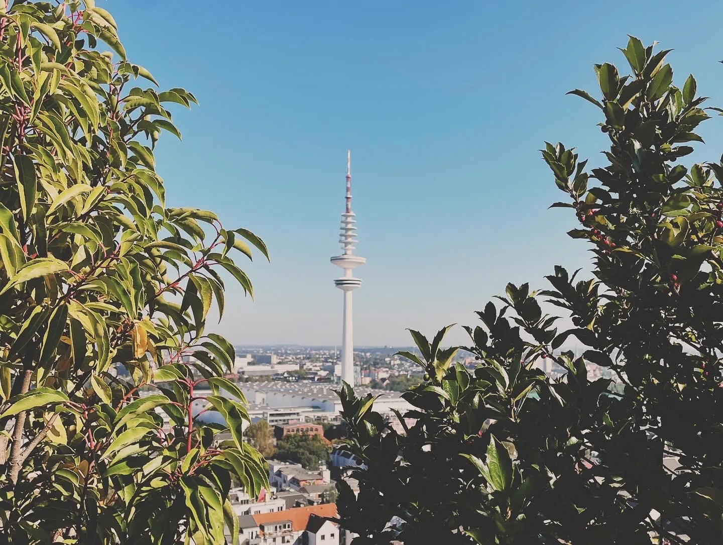 Flakturm View from the top, Hamburg