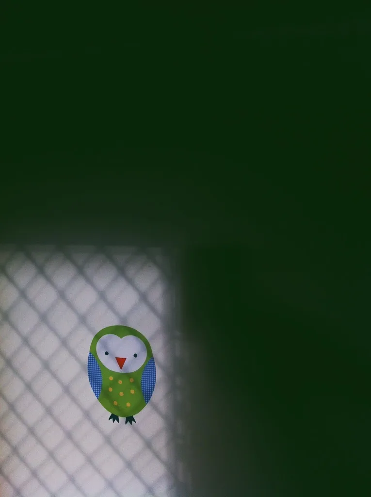 hoot