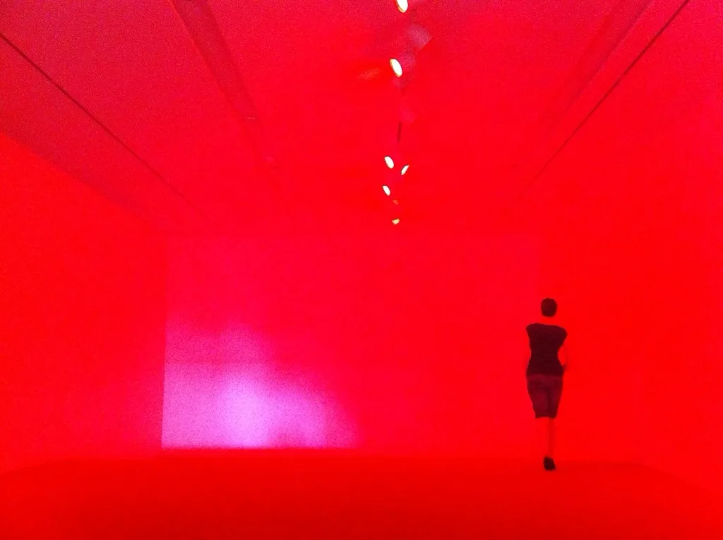 Rachel, GOMA, 1