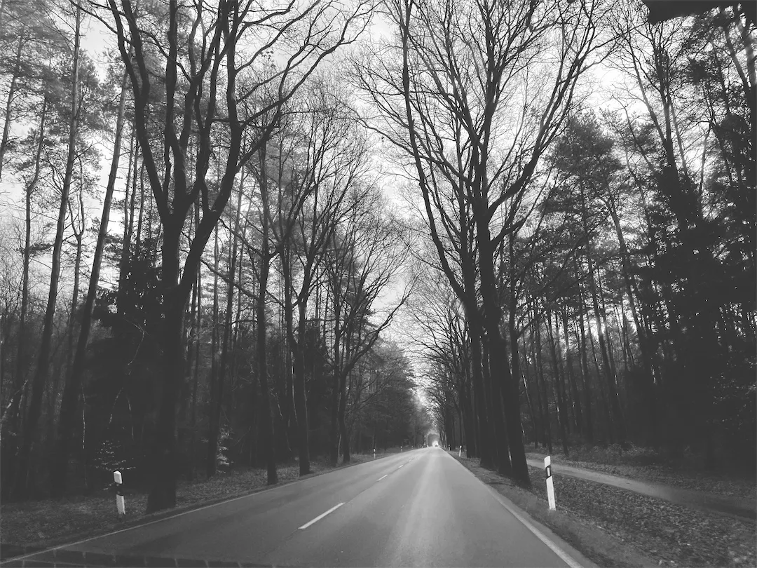 Road to Rotenburg an der Wumme