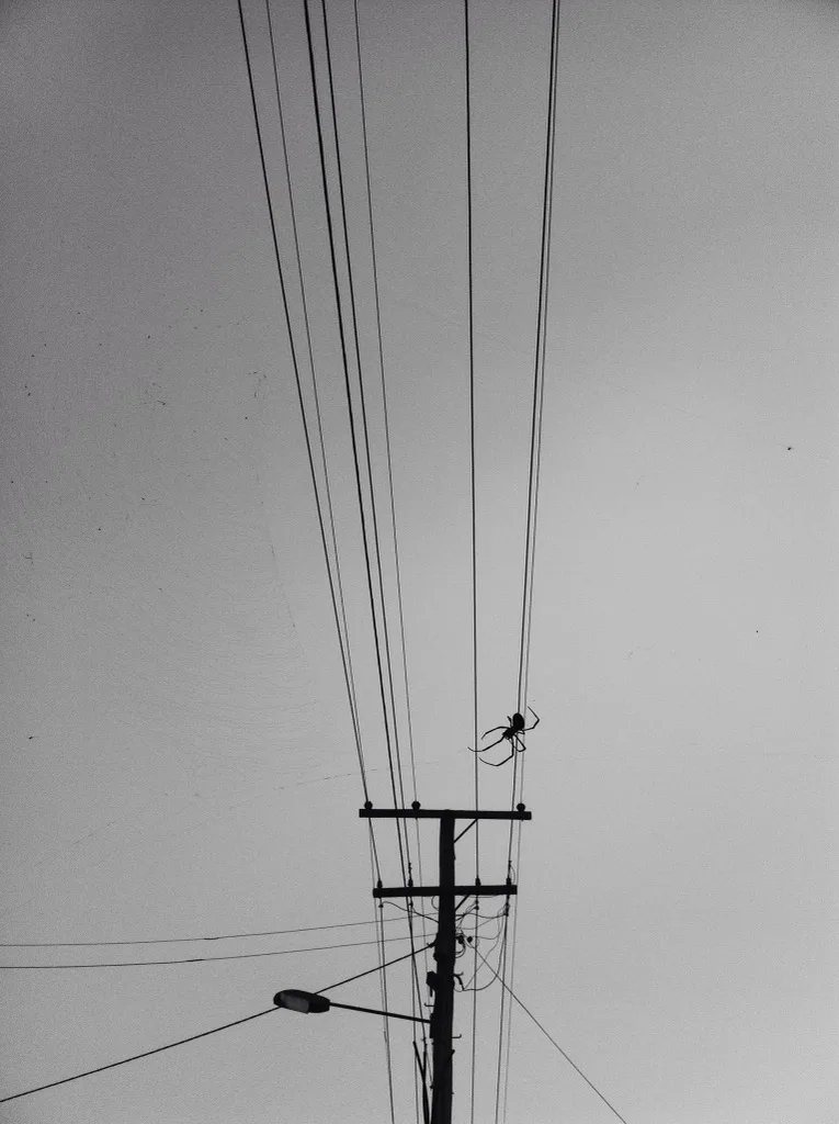 web